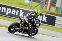 Lower Group Black Bikes